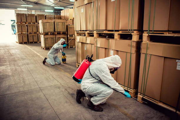 Best Pest Control Near Me  in Albion, PA