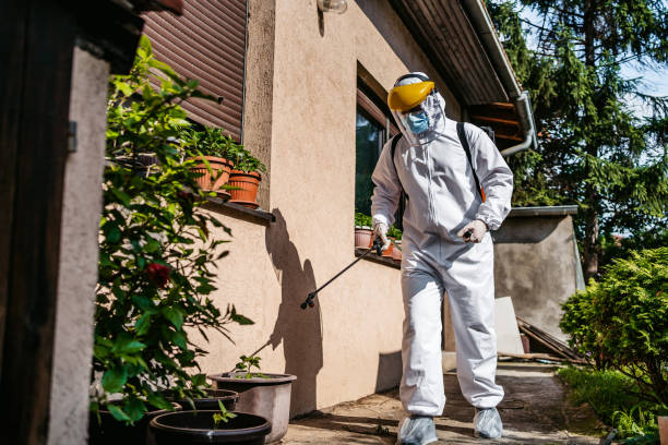 Best Rat Extermination Near Me  in Albion, PA
