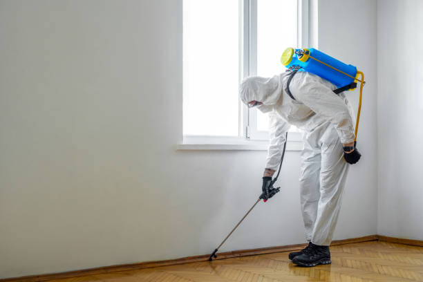 Best Pest Control for Restaurants  in Albion, PA