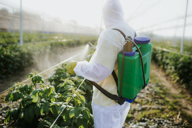 Best Pest Removal Services  in Albion, PA
